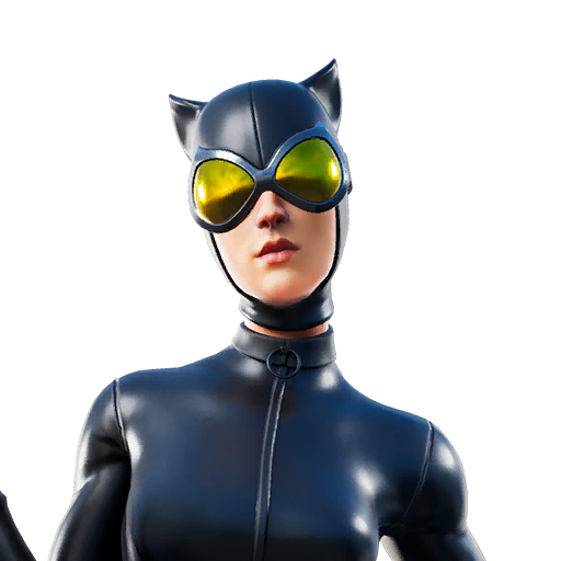 Catwoman Comic Book Outfit