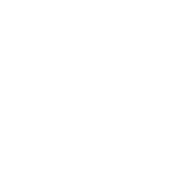 Miner's Shanty Emote