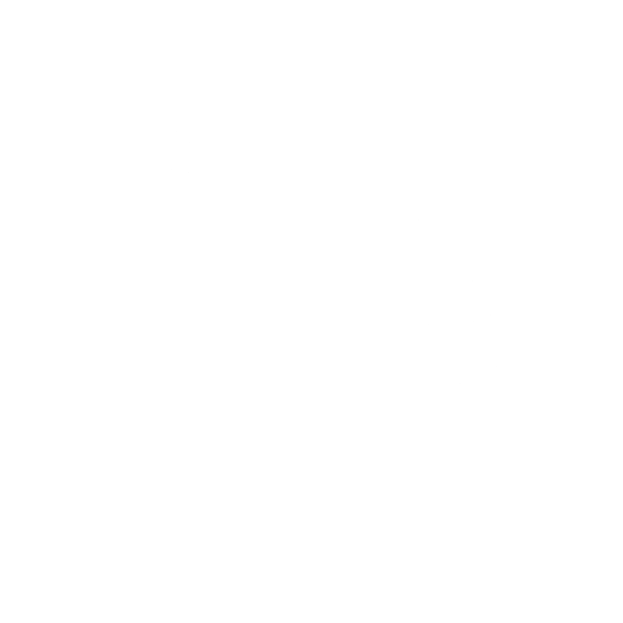 Flashy Fishwork Emote