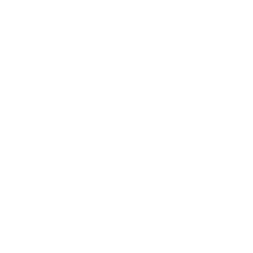 Fast Slow Disco