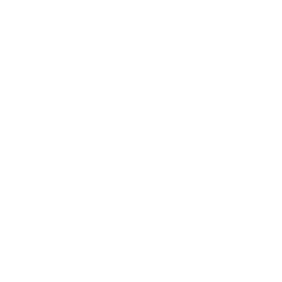 Bonde do Brunão Emote