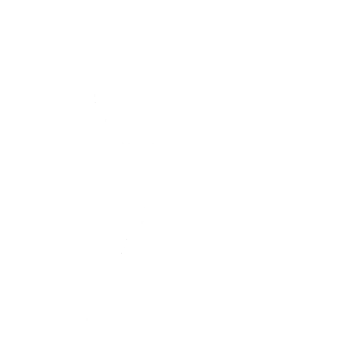 Bold Stance Emote