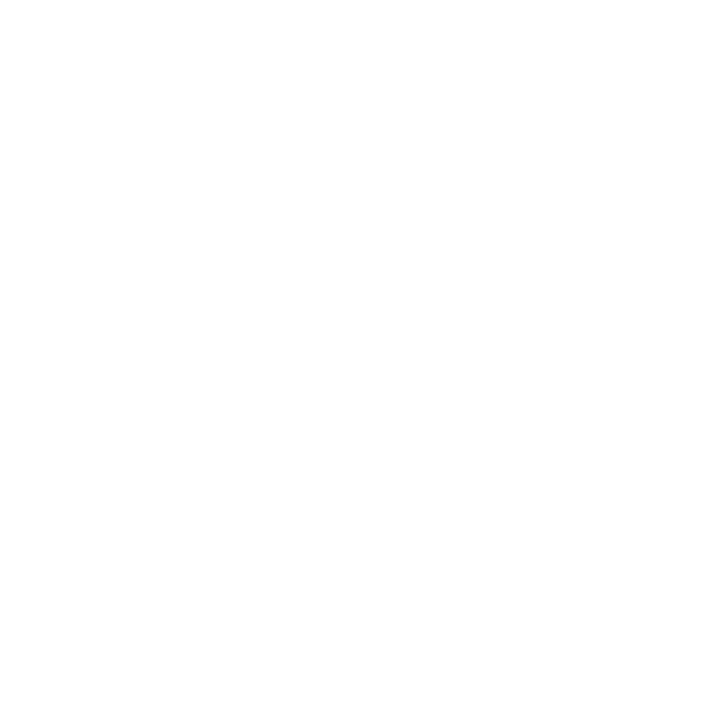 Boomerang Emote