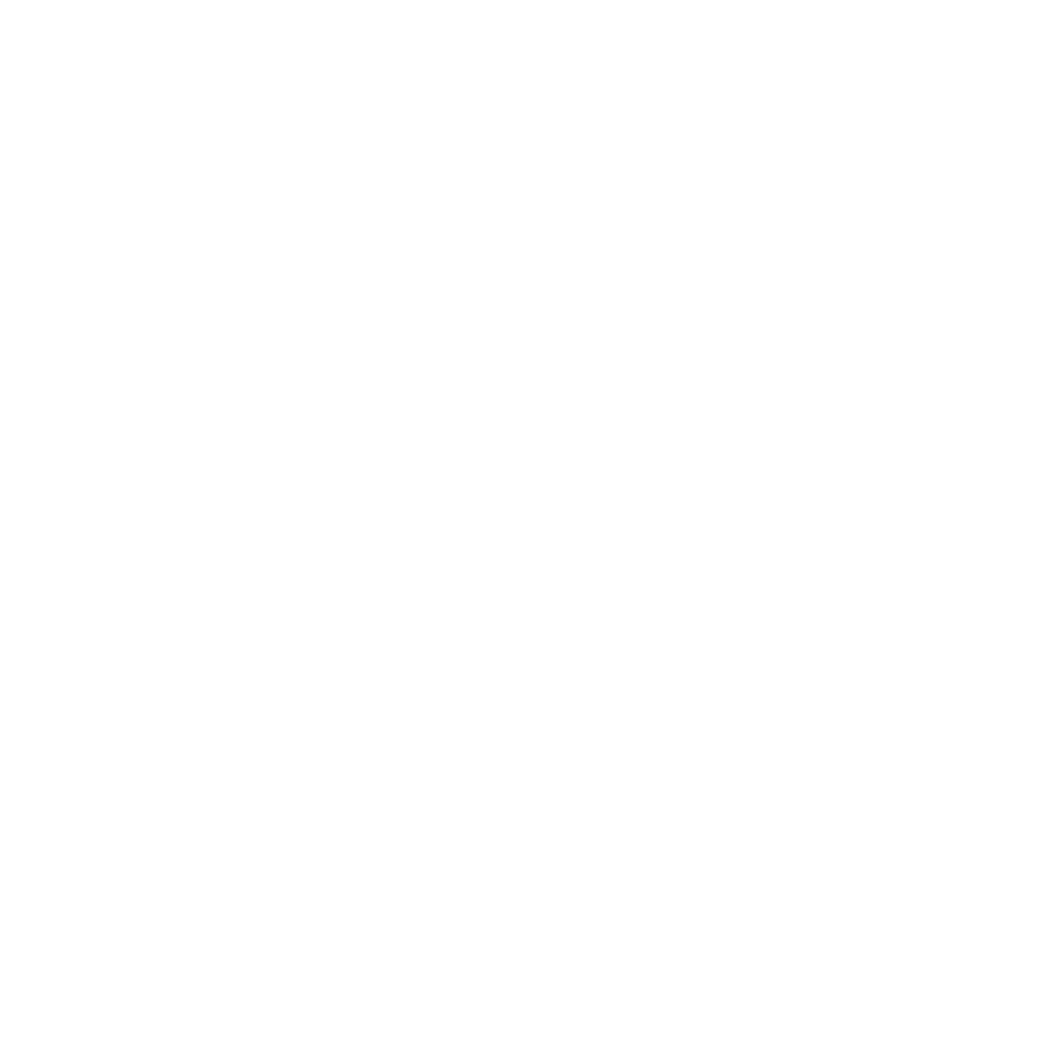 Camera Celebration Emote