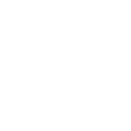 Around the World Emote