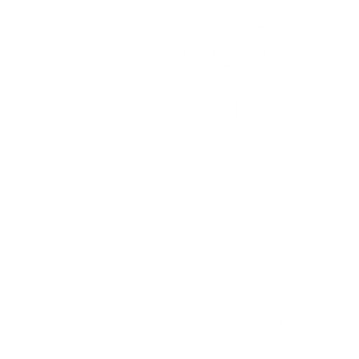 Tai Chi