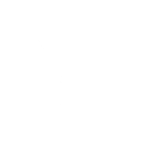 Cyberdyne Salute Emote