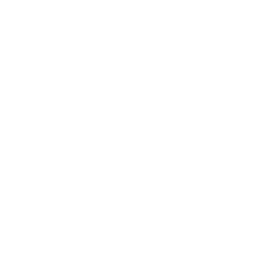 Champion's Medal Emote