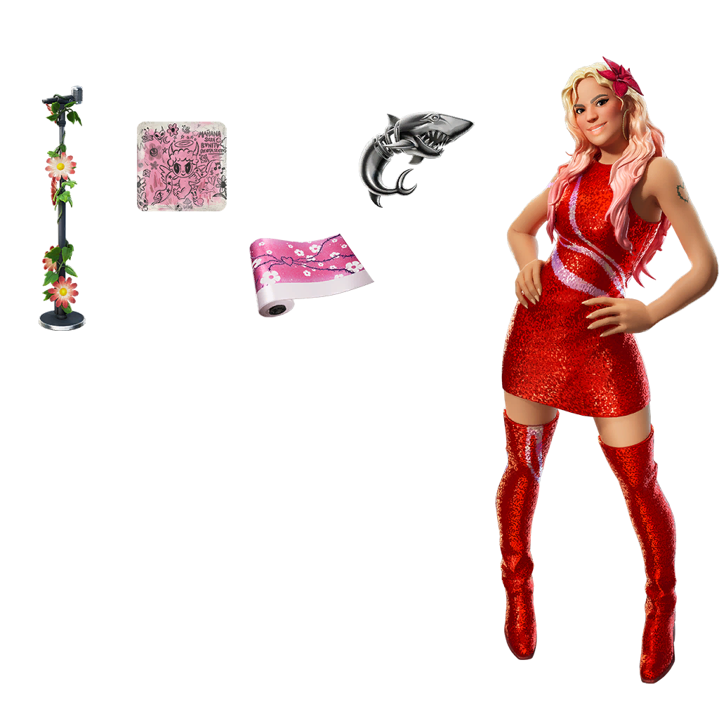 Karol G Outfit Bundle Bundle