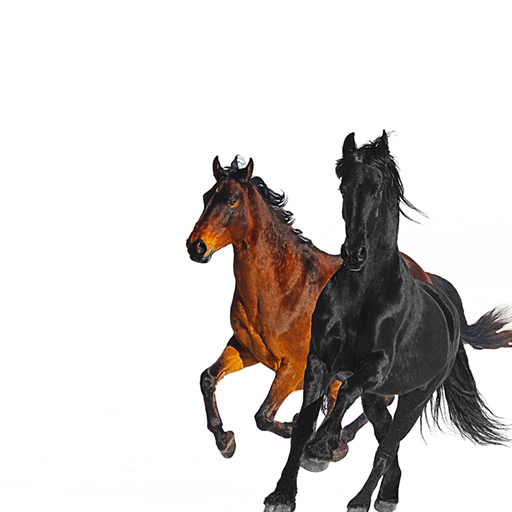 Old Town Road (Remix) Sparks_song